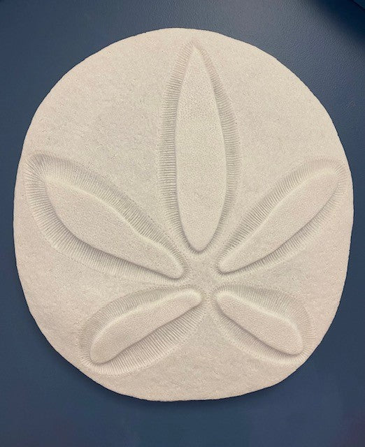Sand Dollar Wall Hanging